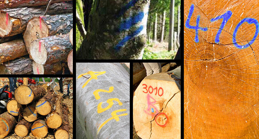 application-standard-marker-traceur-forestier-non-fluorescent